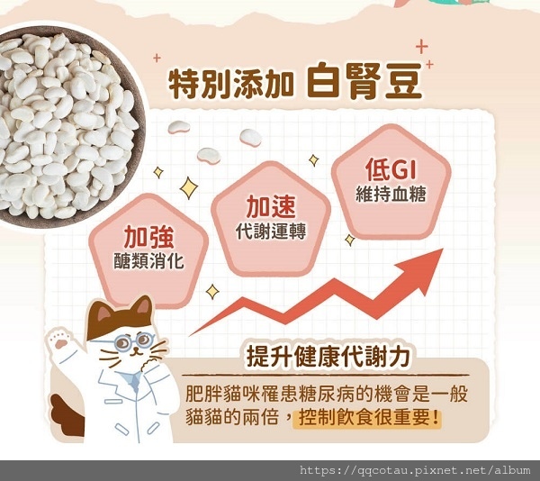 特色-海魚鮮雞.jpg
