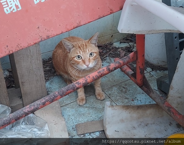 18-2-1.jpg 18-2-1.jpg