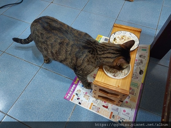 【減醣料理-海鮮推薦】富洋生鮮進口生鮮水果專賣店 【減醣料理-海鮮推薦】富洋生鮮進口生鮮水果專賣店