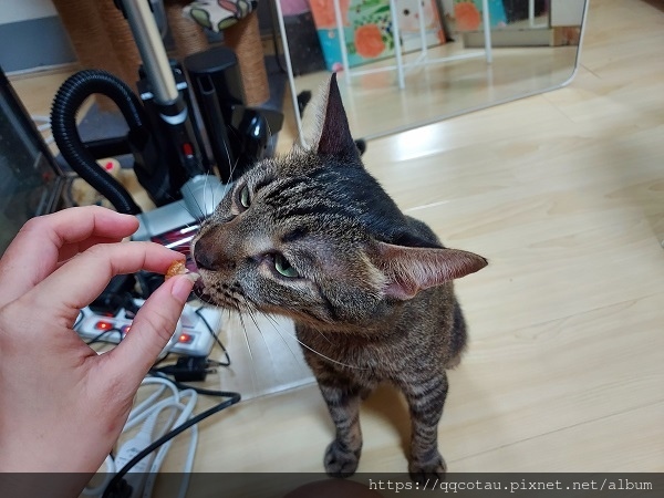 【2023中秋禮盒推薦】依蕾特Elate手工多層次口感的甘 【2023中秋禮盒推薦】依蕾特Elate手工多層次口感的甘