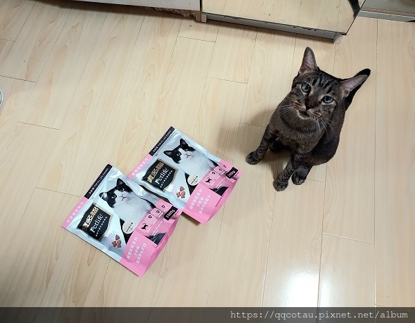 【貓咪飼料推薦】統一寶多福健康機能系列(護膚亮毛+GABA舒 【貓咪飼料推薦】統一寶多福健康機能系列(護膚亮毛+GABA舒