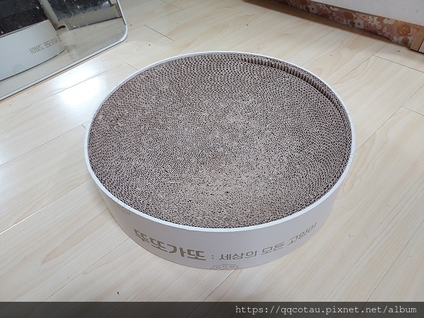 【貓咪玩具】實用又好玩的貓抓盆(底部不會掉屑喔!) 【貓咪玩具】實用又好玩的貓抓盆(底部不會掉屑喔!)