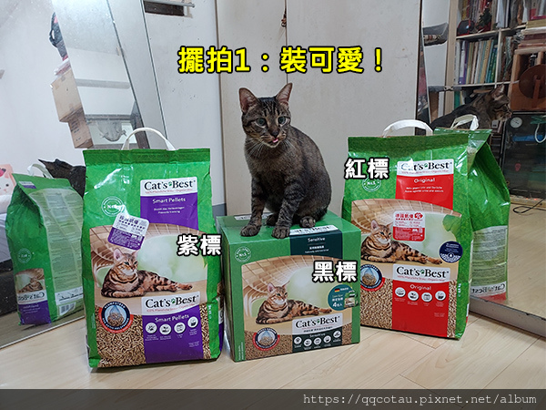 【環保可沖馬桶貓砂】德國凱優CAT'S BEST~PEFC環