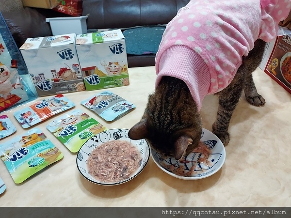 【貓咪副食餐包推薦-補水好物】咪芙好鮮餐包~貓咪無法抗拒的超