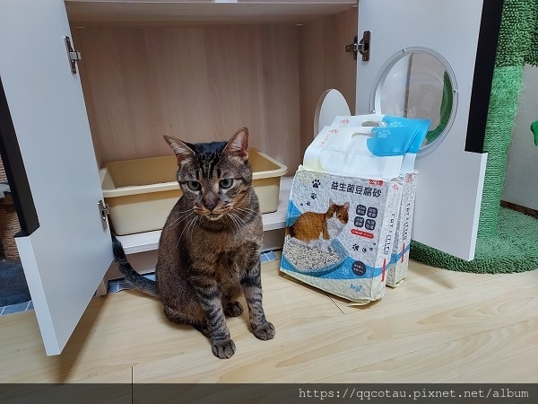 【環保可沖馬桶貓砂】Kogi宏瑋寵物益生菌+活性碳豆腐砂( 【環保可沖馬桶貓砂】Kogi宏瑋寵物益生菌+活性碳豆腐砂(