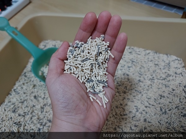 【環保可沖馬桶貓砂】Kogi宏瑋寵物益生菌+活性碳豆腐砂( 【環保可沖馬桶貓砂】Kogi宏瑋寵物益生菌+活性碳豆腐砂(