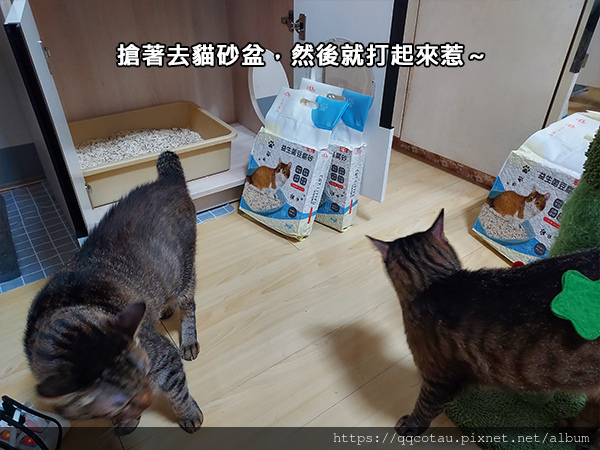 【環保可沖馬桶貓砂】Kogi宏瑋寵物益生菌+活性碳豆腐砂( 【環保可沖馬桶貓砂】Kogi宏瑋寵物益生菌+活性碳豆腐砂(