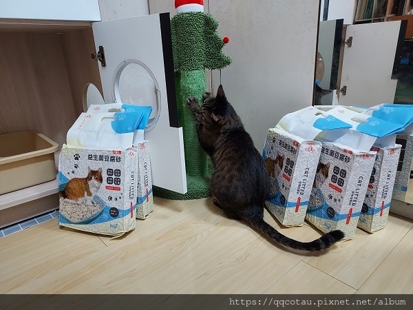 【環保可沖馬桶貓砂】Kogi宏瑋寵物益生菌+活性碳豆腐砂( 【環保可沖馬桶貓砂】Kogi宏瑋寵物益生菌+活性碳豆腐砂(