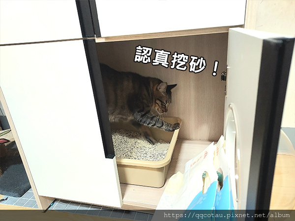 【環保可沖馬桶貓砂】Kogi宏瑋寵物益生菌+活性碳豆腐砂( 【環保可沖馬桶貓砂】Kogi宏瑋寵物益生菌+活性碳豆腐砂(