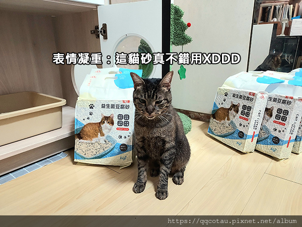 【環保可沖馬桶貓砂】Kogi宏瑋寵物益生菌+活性碳豆腐砂( 【環保可沖馬桶貓砂】Kogi宏瑋寵物益生菌+活性碳豆腐砂(