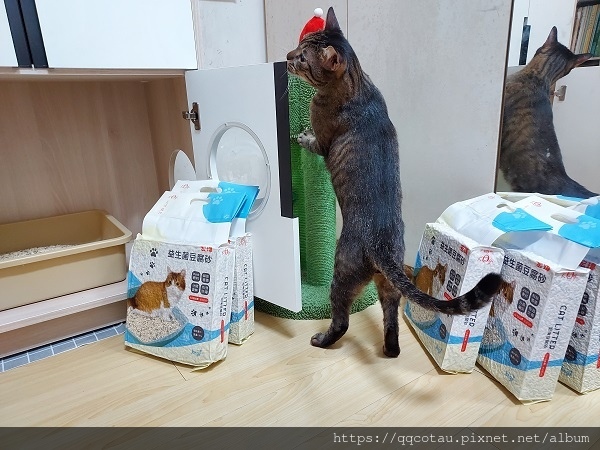 【環保可沖馬桶貓砂】Kogi宏瑋寵物益生菌+活性碳豆腐砂( 【環保可沖馬桶貓砂】Kogi宏瑋寵物益生菌+活性碳豆腐砂(