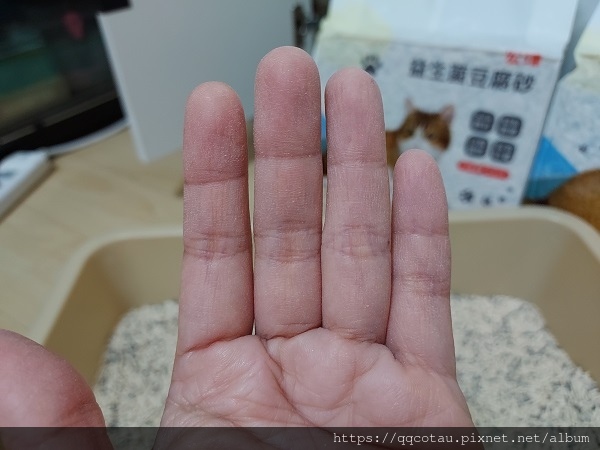 【環保可沖馬桶貓砂】Kogi宏瑋寵物益生菌+活性碳豆腐砂( 【環保可沖馬桶貓砂】Kogi宏瑋寵物益生菌+活性碳豆腐砂(