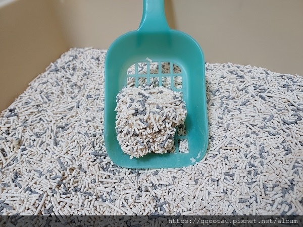 【環保可沖馬桶貓砂】Kogi宏瑋寵物益生菌+活性碳豆腐砂( 【環保可沖馬桶貓砂】Kogi宏瑋寵物益生菌+活性碳豆腐砂(