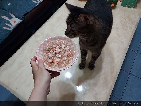 【食材推薦】塘玖硯海鮮~滿滿鮮甜海味的海鮮食材專賣