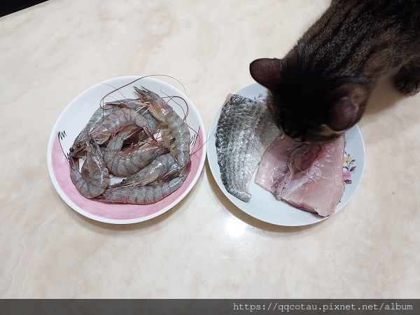 【食材推薦】塘玖硯海鮮~滿滿鮮甜海味的海鮮食材專賣