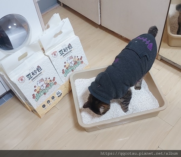 【環保可沖馬桶貓砂】陪心寵糧~豆砂包-日本專利除臭成分-條型