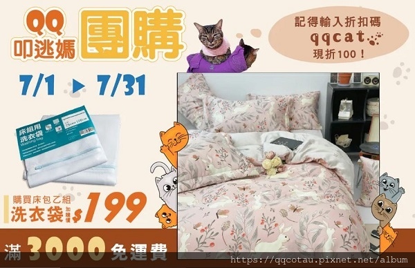 qqcat-.jpg