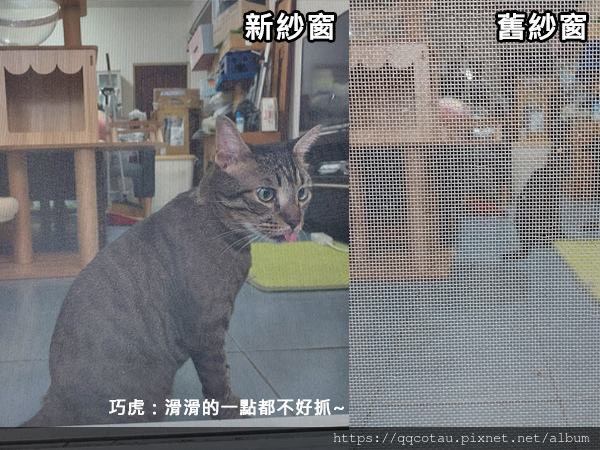 12組裝好1.jpg