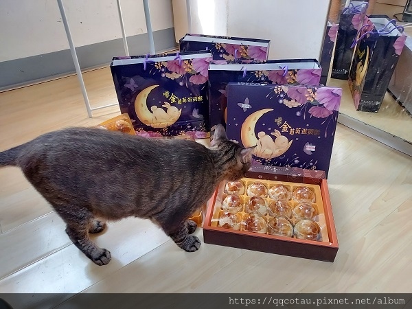 【2024中秋禮盒推薦】蛋黃酥推薦金葡萄高雄店 金葡萄鳳山 【2024中秋禮盒推薦】蛋黃酥推薦金葡萄高雄店 金葡萄鳳山