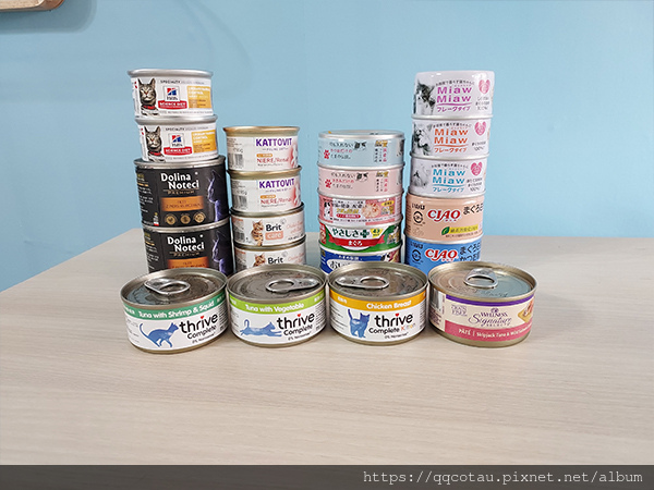 【巧虎胖虎】愛吃菜的貓兒童節&清明節快樂!