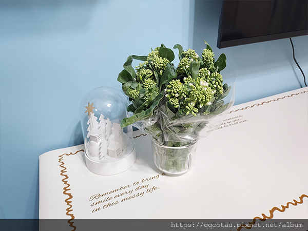 【巧虎胖虎】愛吃菜的貓兒童節&清明節快樂!