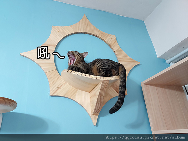 【打工貓日誌】照顧阿嬤的日常