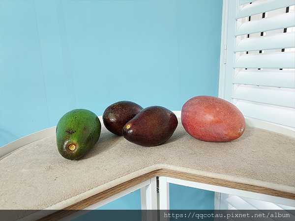 【產業分享】消失的愛文