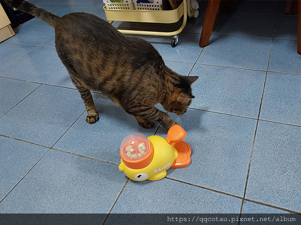 【打工貓日誌】親子玩具(壓壓樂)XD
