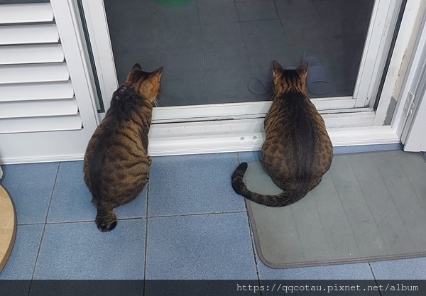 【產業分享】高雄打工人的沉痛請求~麻煩政府把用在觀光的錢拿來