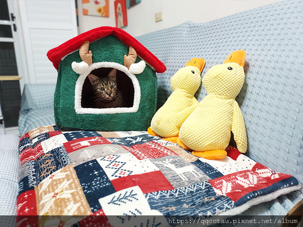 冬天到了，沙發長出貓了之年度檢討