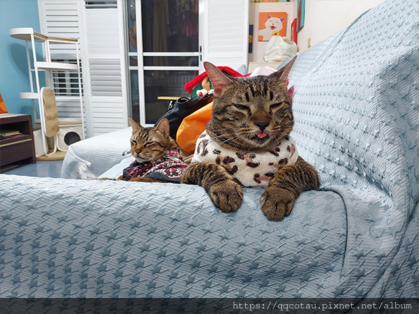 請不要個人放養！控制犯罪的人難道不比管理守法的人還要重要嗎？