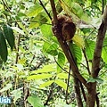 bohol 2014.11.1 079.jpg