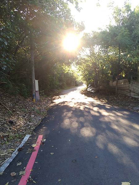 IMG_20210919_064808.jpg IMG_20210919_064808.jpg