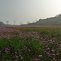 花海喔