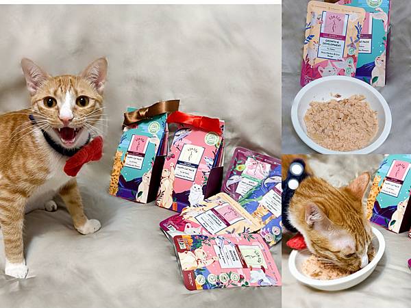 [寵物]RonRon虎嚕｜貓咪主餐推薦｜主餐餐包系列｜貓咪營
