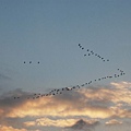 20110118_1658234.jpg