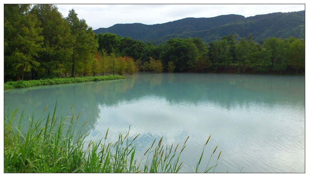 花蓮雲山水民宿及落羽松