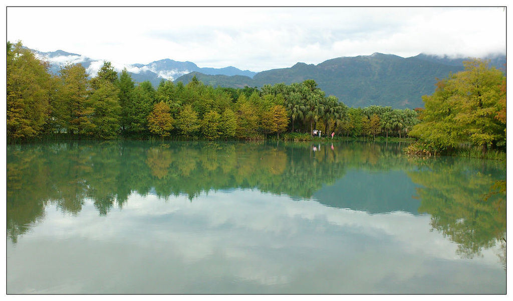 花蓮雲山水民宿及落羽松