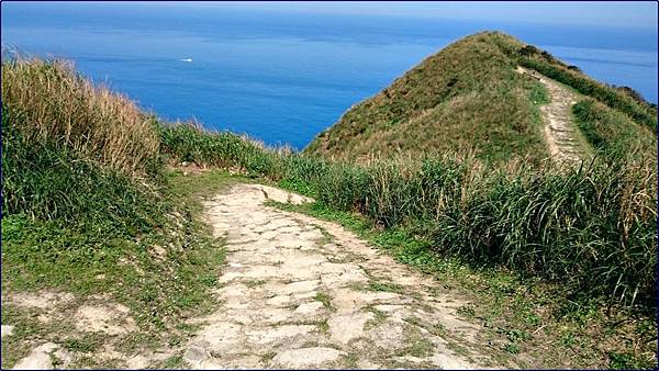 瑞芳.南子杏登山步道