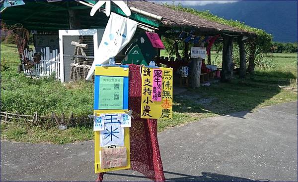 花蓮大農大富平地森林園區