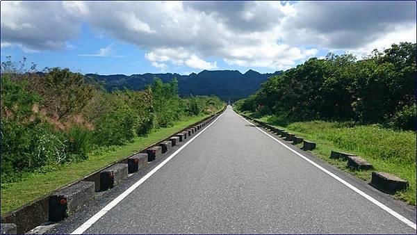 花蓮大農大富平地森林園區