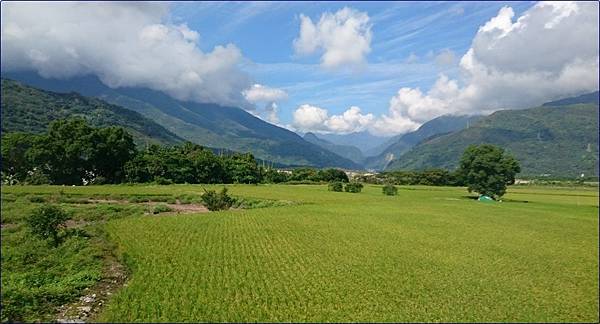 花蓮大農大富平地森林園區