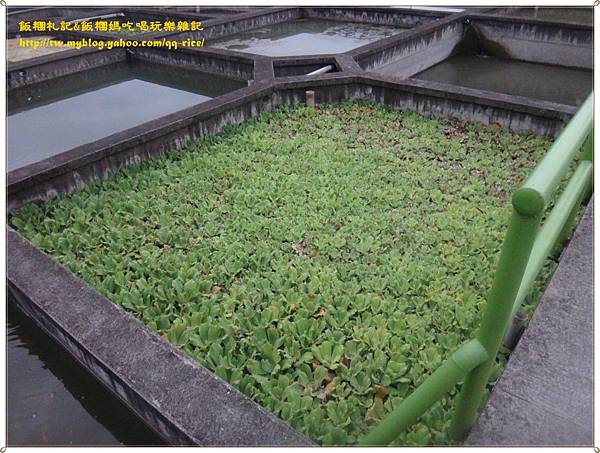 DSC04955_renamed_10459