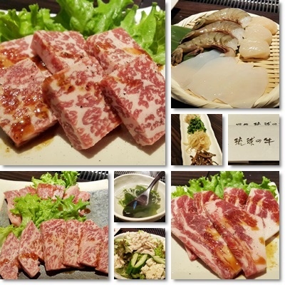 琉球的牛 琉球的牛