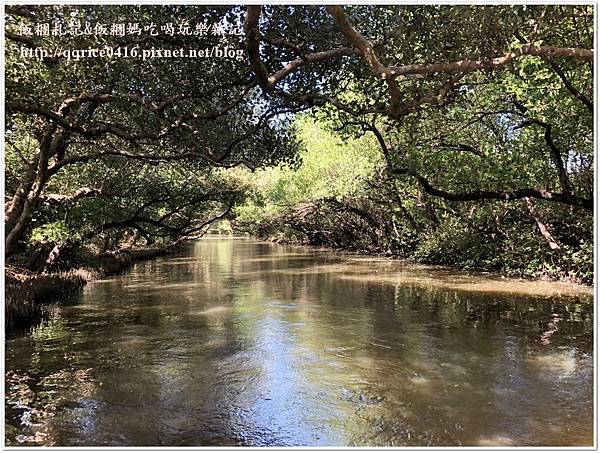 IMG_6676.jpg IMG_6676.jpg