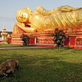 永珍 塔鑾寺 (8).jpg