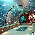 AquariumOfThePacific02.jpg