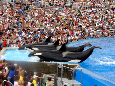 seaworld_sandiego04.jpg