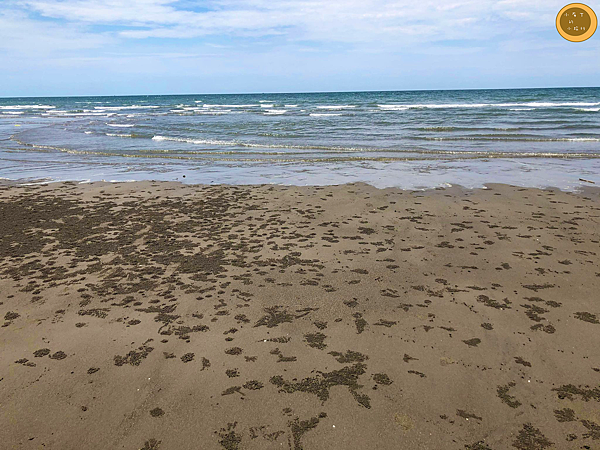 白沙屯海灘 白沙屯海灘