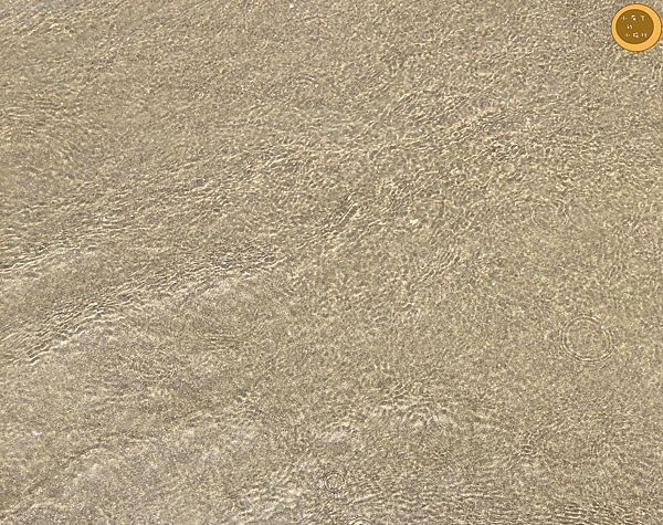 白沙屯海灘 白沙屯海灘